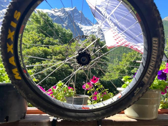 לה גראב Hotel Des Alpes - Skiers & Bikers Lodge מראה חיצוני תמונה